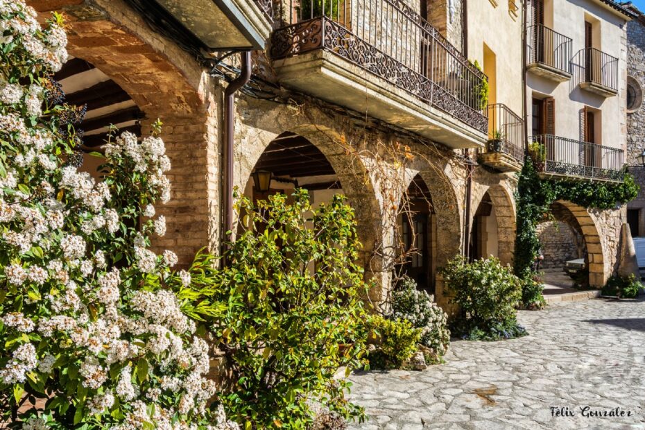 Els Pobles de Pedra que Has de Visitar 2 Poble de pedra al anoia: Plaça porxada a La Llacuna, un exemple de l'arquitectura tradicional de la comarca de l'Anoia, Catalunya.